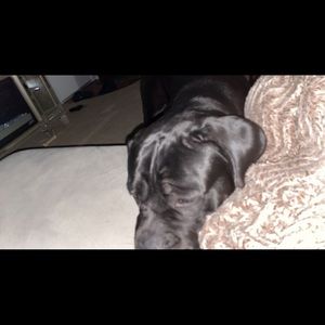 Meet your Posher, Brianna